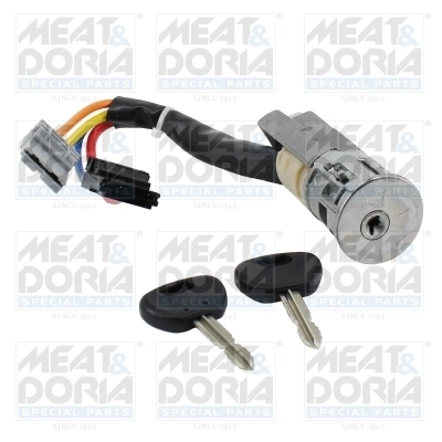 Steering Lock